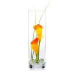 Blumen mieten