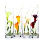 Blumen mieten